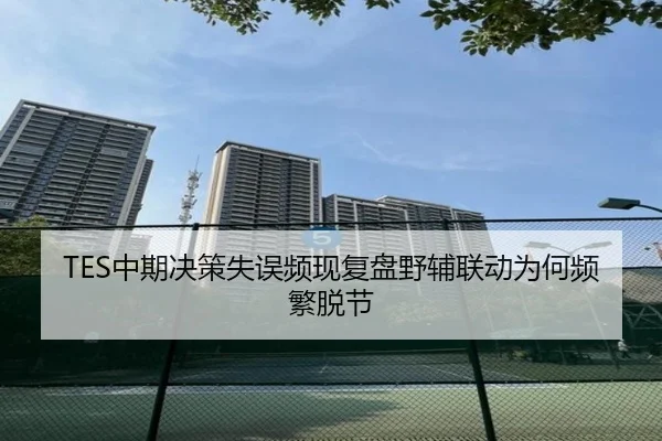 TES中期决策失误频现复盘野辅联动为何频繁脱节 | MILANSPORT